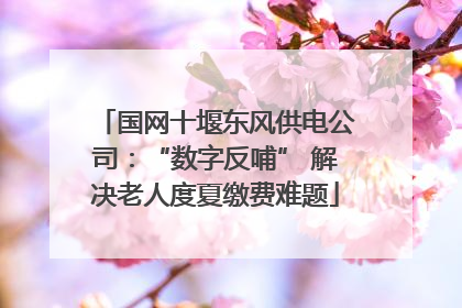 国网十堰东风供电公司：“数字反哺” 解决老人度夏缴费难题