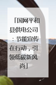 国网平和县供电公司：节能宣传在行动，引领低碳新风尚