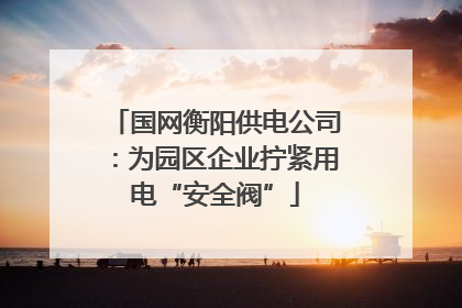 国网衡阳供电公司：为园区企业拧紧用电“安全阀”