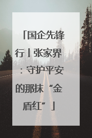 国企先锋行丨张家界：守护平安的那抹“金盾红”