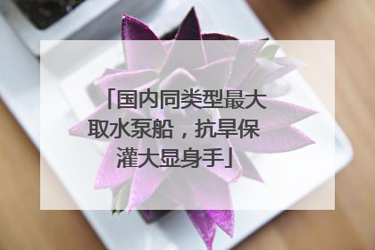 国内同类型最大取水泵船，抗旱保灌大显身手