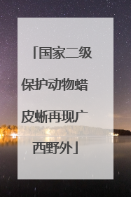 国家二级保护动物蜡皮蜥再现广西野外
