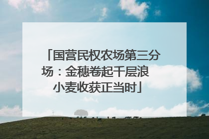 国营民权农场第三分场：金穗卷起千层浪 小麦收获正当时