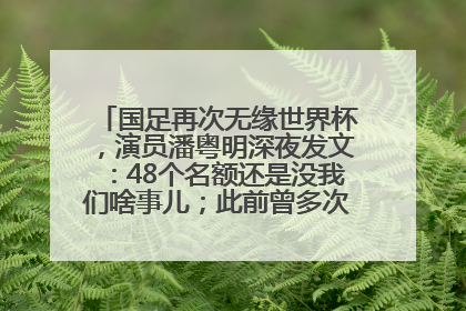 国足再次无缘世界杯，演员潘粤明深夜发文：48个名额还是没我们啥事儿；此前曾多次为国足发声