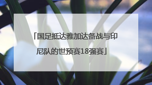 国足抵达雅加达备战与印尼队的世预赛18强赛