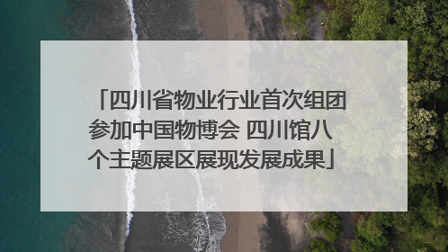 四川省物业行业首次组团参加中国物博会 四川馆八个主题展区展现发展成果