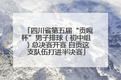 四川省第五届“贡嘎杯”男子排球（初中组）总决赛开赛 自贡这支队伍打进半决赛