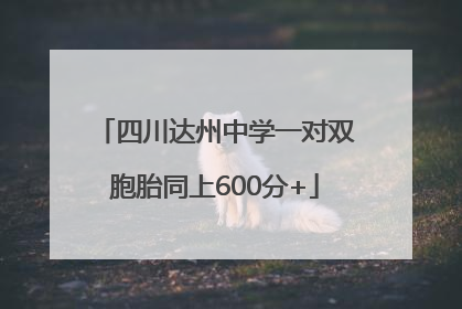 四川达州中学一对双胞胎同上600分+