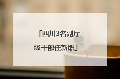 四川3名副厅级干部任新职