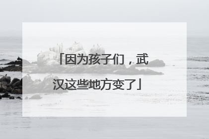 因为孩子们，武汉这些地方变了