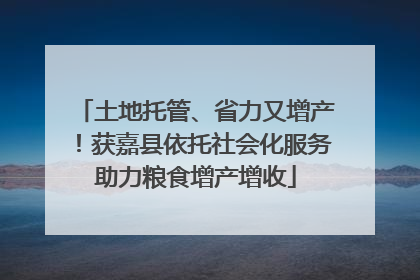 土地托管、省力又增产！获嘉县依托社会化服务助力粮食增产增收