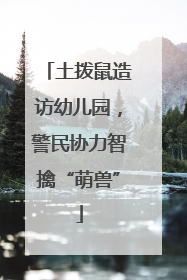 土拨鼠造访幼儿园，警民协力智擒“萌兽”