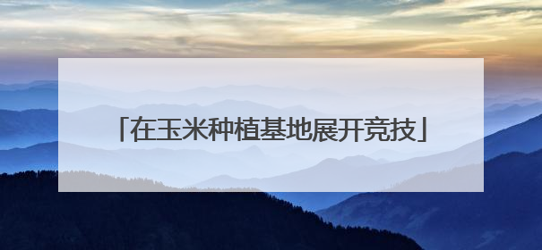 在玉米种植基地展开竞技