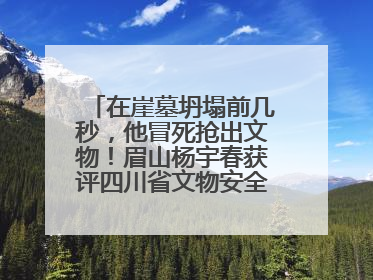 在崖墓坍塌前几秒，他冒死抢出文物！眉山杨宇春获评四川省文物安全守护者