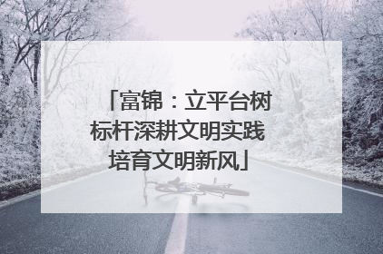富锦：立平台树标杆深耕文明实践培育文明新风