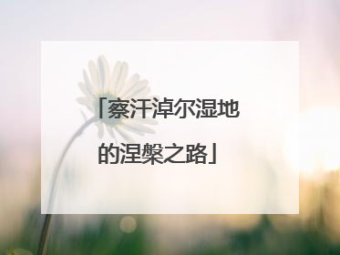 察汗淖尔湿地的涅槃之路