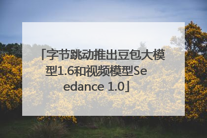 字节跳动推出豆包大模型1.6和视频模型Seedance 1.0