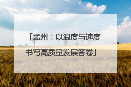 孟州：以温度与速度书写高质量发展答卷