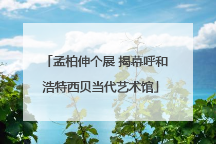 孟柏伸个展 揭幕呼和浩特西贝当代艺术馆