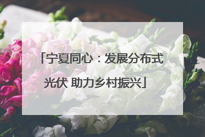 宁夏同心：发展分布式光伏 助力乡村振兴