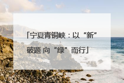 宁夏青铜峡：以“新”破题 向“绿”而行
