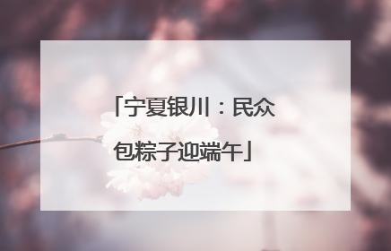 宁夏银川：民众包粽子迎端午