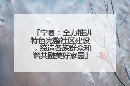 宁夏：全力推进特色完整社区建设，缔造各族群众和谐共融美好家园