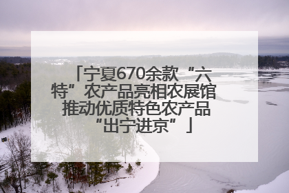 宁夏670余款“六特”农产品亮相农展馆 推动优质特色农产品“出宁进京”