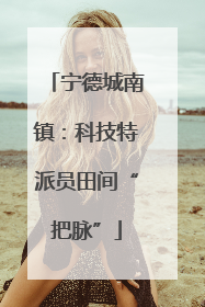 宁德城南镇：科技特派员田间“把脉”