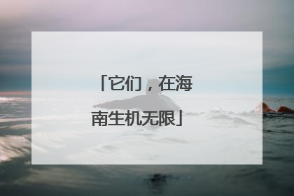 它们，在海南生机无限