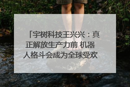 宇树科技王兴兴：真正解放生产力前 机器人格斗会成为全球受欢迎的赛事｜科技观察