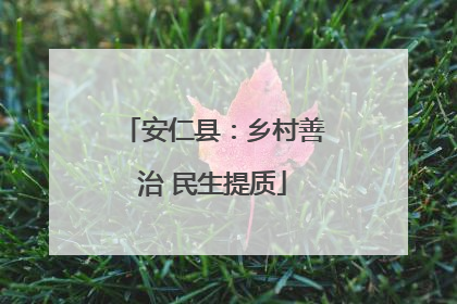 安仁县：乡村善治 民生提质