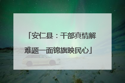 安仁县：干部真情解难题一面锦旗映民心
