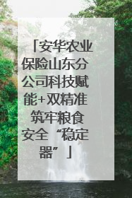 安华农业保险山东分公司科技赋能+双精准 筑牢粮食安全“稳定器”