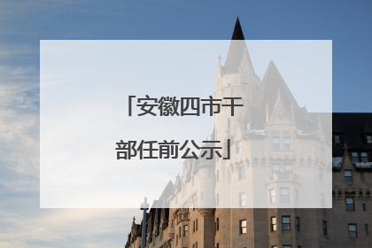 安徽四市干部任前公示