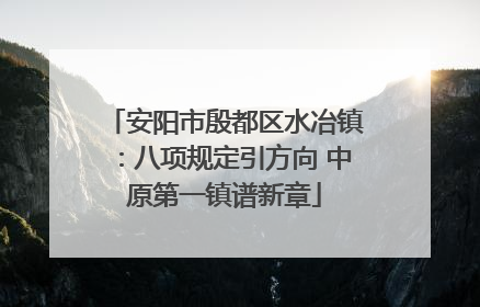 安阳市殷都区水冶镇：八项规定引方向 中原第一镇谱新章