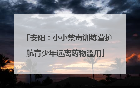 安阳：小小禁毒训练营护航青少年远离药物滥用