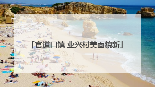 官道口镇 业兴村美面貌新