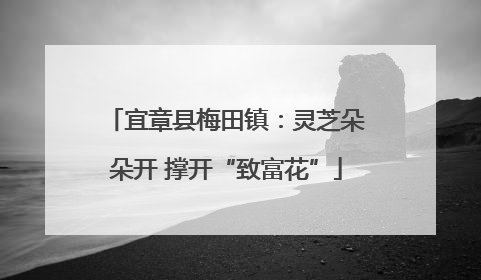 宜章县梅田镇：灵芝朵朵开 撑开“致富花”