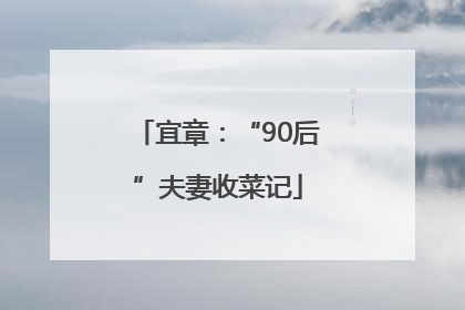 宜章：“90后”夫妻收菜记