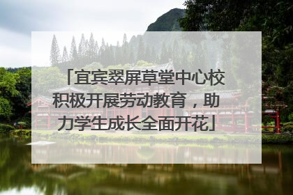 宜宾翠屏草堂中心校积极开展劳动教育，助力学生成长全面开花