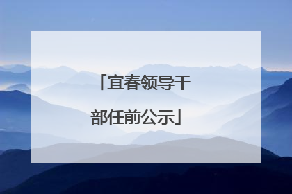 宜春领导干部任前公示