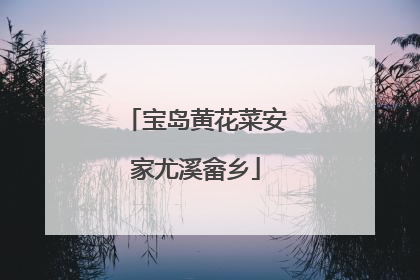 宝岛黄花菜安家尤溪畲乡