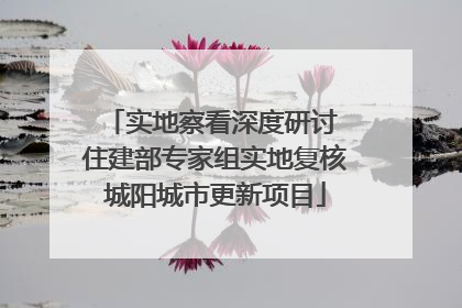 实地察看深度研讨 住建部专家组实地复核城阳城市更新项目