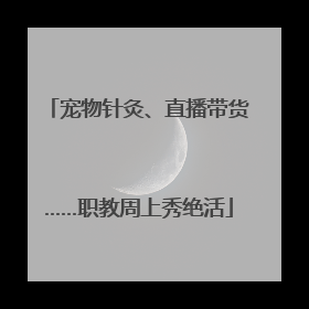 宠物针灸、直播带货……职教周上秀绝活