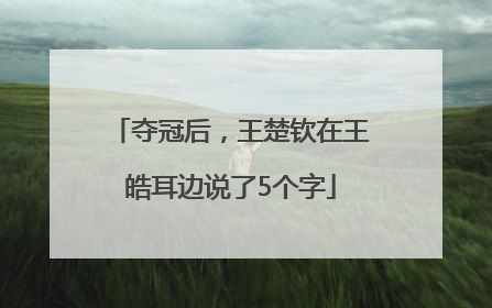 夺冠后，王楚钦在王皓耳边说了5个字
