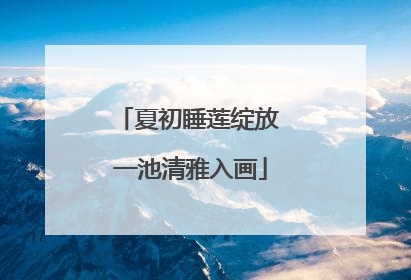 夏初睡莲绽放 一池清雅入画