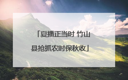 夏播正当时 竹山县抢抓农时保秋收