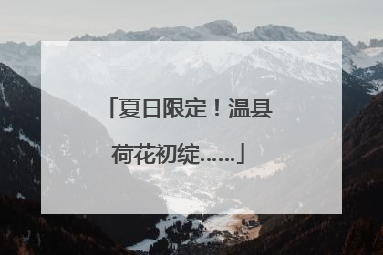 夏日限定！温县荷花初绽……