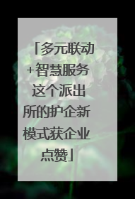 多元联动+智慧服务 这个派出所的护企新模式获企业点赞